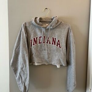 Indiana Gray Cropped Hoodie